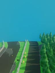 race cars