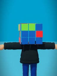 cube head