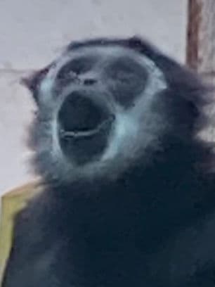 The Best Game EVER preview image