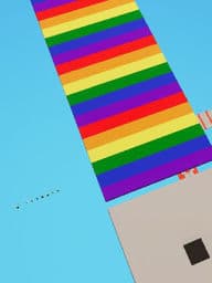 Easy Obby - Fun Color Run
