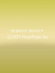 Subway Dogs 9