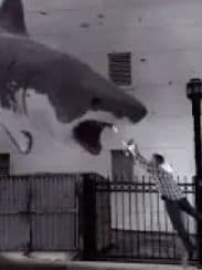 Sharknado credits  preview image