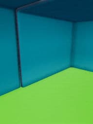 robio expiriment