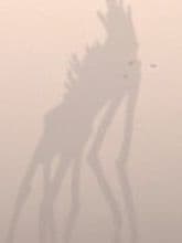 Eye Of god bossfight preview image