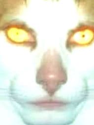 idk