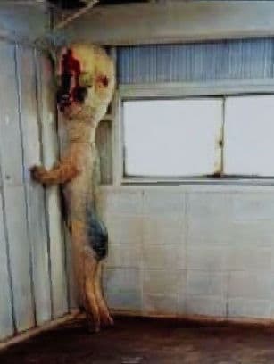 scp 173 preview image