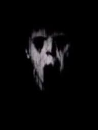  The DVD (Demo)