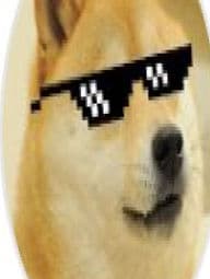 valentines city happy doge city