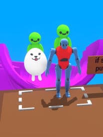 ragdoll