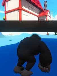 PIRATE LSBD