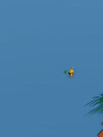 VINERIA's REVENGE
