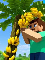 mineshop