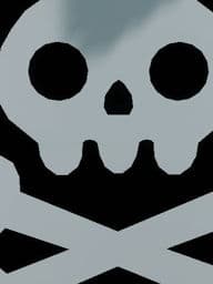 pirate co